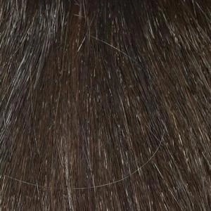 Petite Penelope Wig by Envy | Synthetic (Open Top)