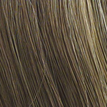 Tango Wig by Raquel Welch | Synthetic (Mono Top)